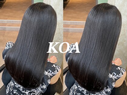 コア(Koa)の写真