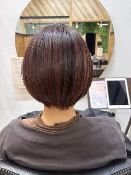 エヌ 北千住(N) ショートぼぶ