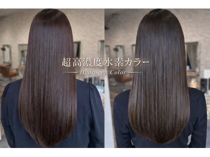 トイロ(toiro)の写真