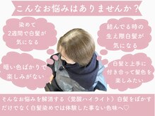 ヴィアージュ(Viage)の雰囲気（気になる白髪を活かして体験した事ない色味へ◎）
