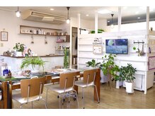 ヘアーアンドメイク ブルーム ジェイアール茨木駅前店(Hair&Make BLOOM)の雰囲気（緑を生かして居心地の良い店内です）