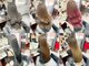 ビゼ 梅田(BIZE)の写真/初めてのカラーやエクステも大丈夫◎学割＆丁寧施術で安心♪