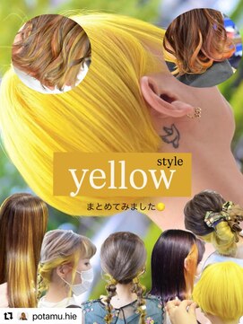 ポタム 東中野(potamu) 黄色カラーデザインまとめ