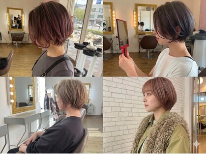 シード(SEED)の写真