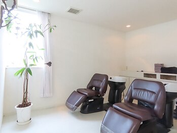 エクロジエ(Eclosier)の写真/白を基調とした開放感のある空間を貸切◇選び抜かれた商材と経験豊富な技術で、髪の未来が変わる。