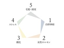 独自の研究から導きだされた「ピトレティカ５つのメソッド」