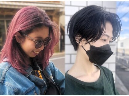 ハラカラ(harakara)の写真