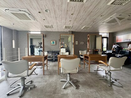 Chrysanthemum【クリサンセマム】の写真