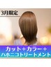 ★3月限定★カット＋カラー＋ハホニコTR　￥8900