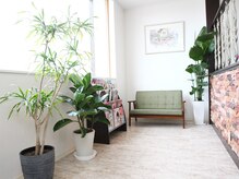 サロン ド レクラン(Salon de L'ecrin)の雰囲気（植物がたくさんあり、落ち着く空間。）