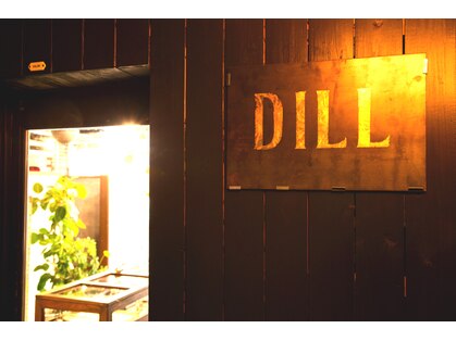 ディル(DILL)の写真