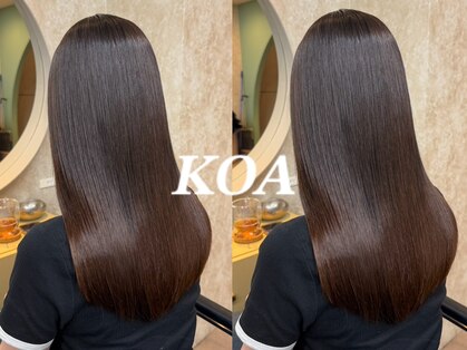 コア(Koa)の写真