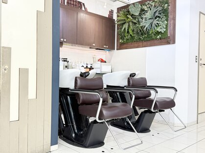 バウハウスヘア(bauhaus hair)の写真
