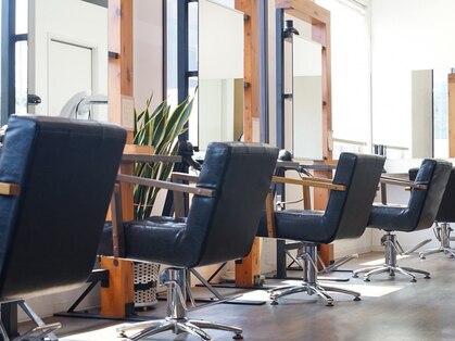 ログ(Log)の写真