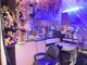 ティービーケー 明大前店(TBK)の写真
