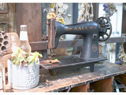 ジジ(Gigi)の写真