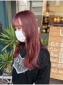 ピンクラベンダー