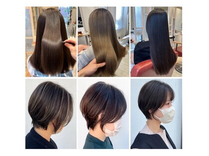 レピー(Repit)の写真