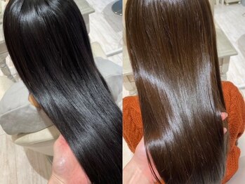 Ivy【アイビー】