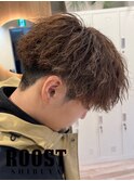 ブラウンツイスパ