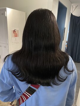 ザ オーダー(THE ORDER) ブルーブラック/フェイクブラック/ブラックカラー/アッシュ