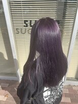 シュガー ミタケ(SUGAR mitake)&nbsp;ダブルカラー　ディープバイオレット