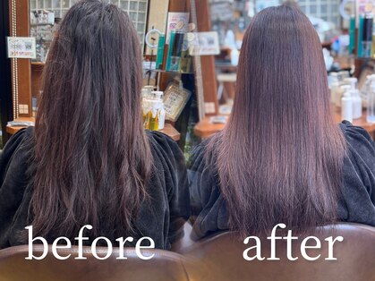 ヘア ショップキャリーの写真