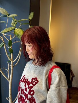 アカラ(acala) レッドブラウンパーマ