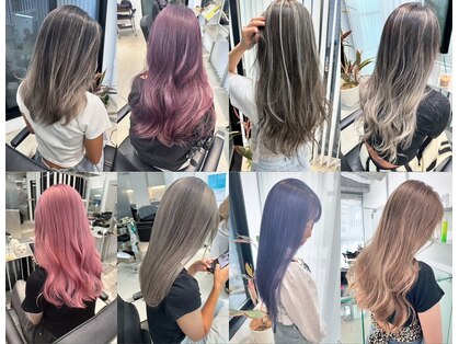 トリコ(torico)の写真