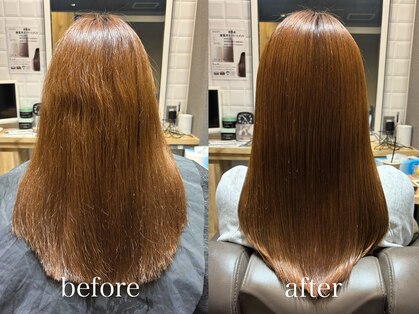 カミケンガレリア(kamiken. galleria)の写真