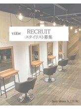 ヘアードレスビュー(hair dress V.I.E.W) スタッフ 募集