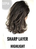 セピアグレージュハイライトシャープレイヤー