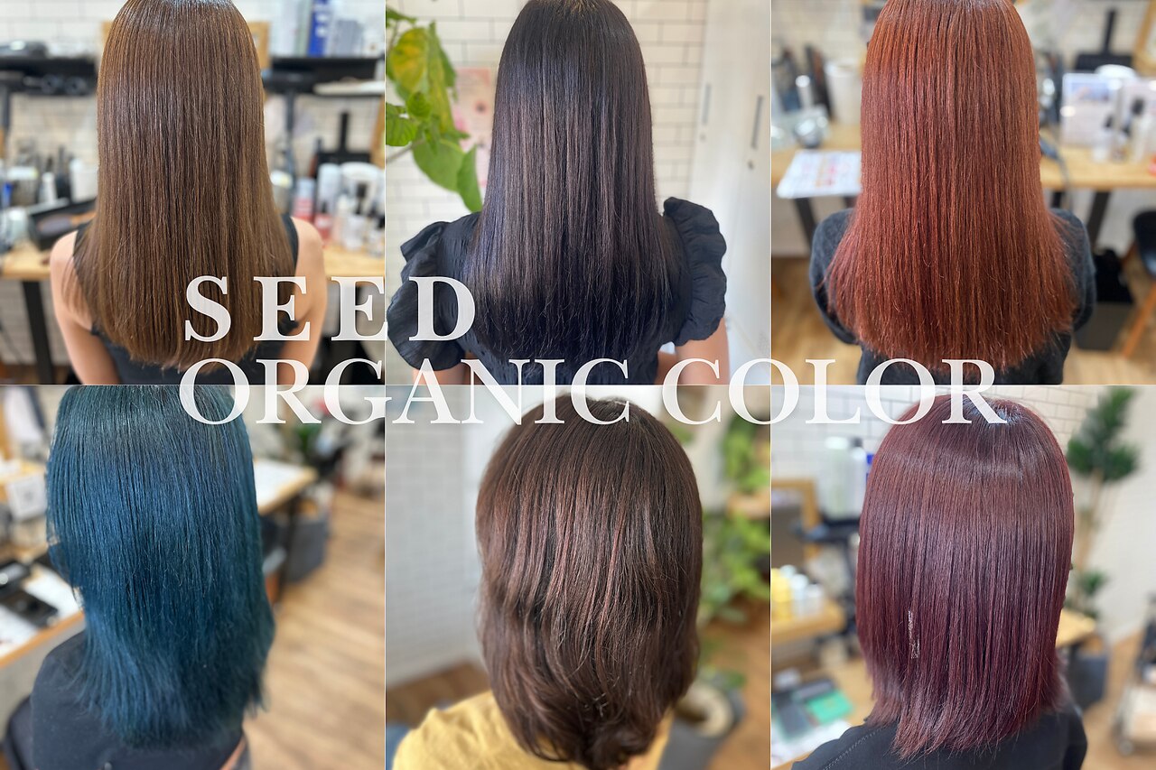 シード(SEED)｜ホットペッパービューティー