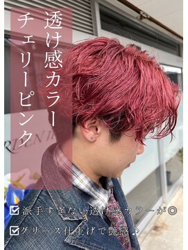 ネリネ(Nerine) ピンク