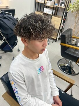 アリープパロット(ALEAP parrot) メンズハードパーマ/ホワイトメッシュ