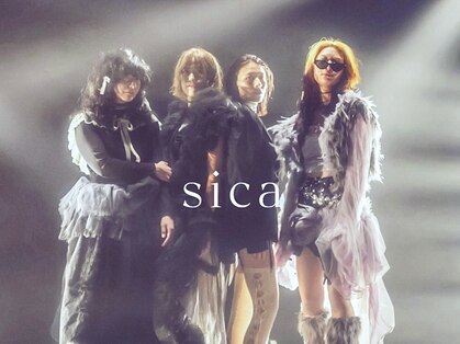 シカ(sica)の写真