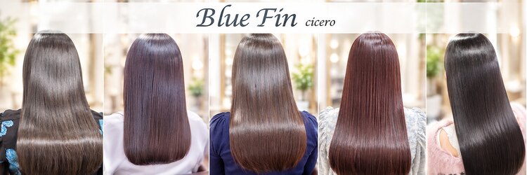 ブルーフィン シセロ(Blue Fin cicero)のサロンヘッダー
