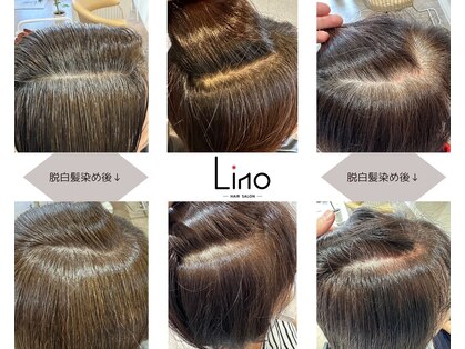 リノ(Lino)の写真