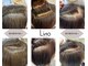 リノ(Lino)の写真