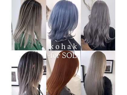 コハク(kohak)の写真