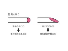  髪がキレイにみえる。