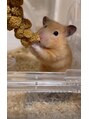 ヴァロア 中村橋店(BAROA)&nbsp;ハムスターとセキセイインコに癒される毎日です！