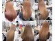 エルフ(elf)の写真