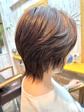 デザインケアアムリット(Design Care Amrit) レイヤースタイル