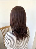 チョコブラウニーカラー葉田24