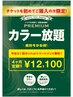 【４ヶ月間の綺麗をあなたに】カラー６回券＋カットorトリートメント