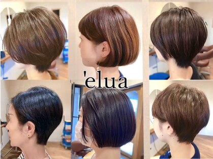 エルア(elua)の写真