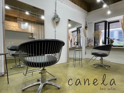 カネラ(canela)の写真