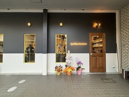 イエロー(yellow)の写真