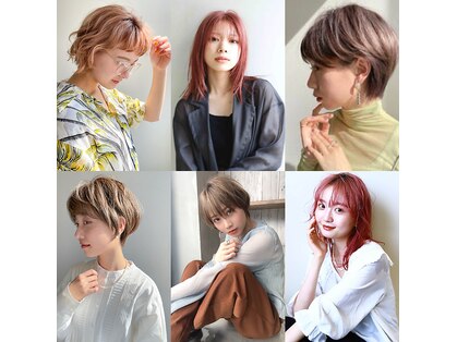 リノア(Linoa)の写真